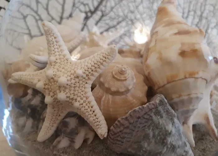 La Casa Delle Conchiglie Сasa de vacaciones